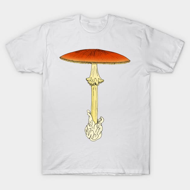 Amanita jacksoni T-Shirt by Stanton